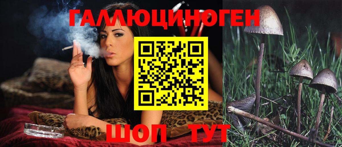 Кувандык  Галлюциногенные грибы ЛСД  Псилоцибиновые грибы Psilocybe  Вход с VPN 